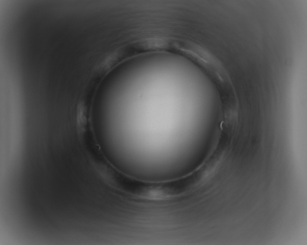 X0000100940264200806241434
