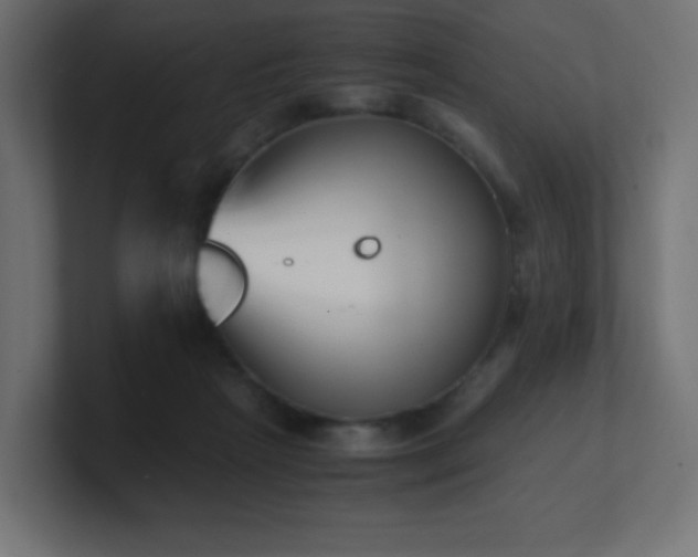 X0000100940265200806241434