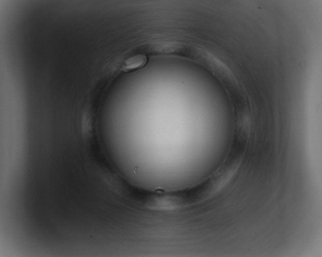 X0000100940268200806241434