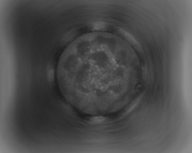 X0000100940269200806241434