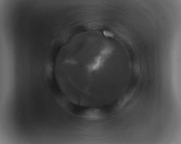 X0000100940271200806241434