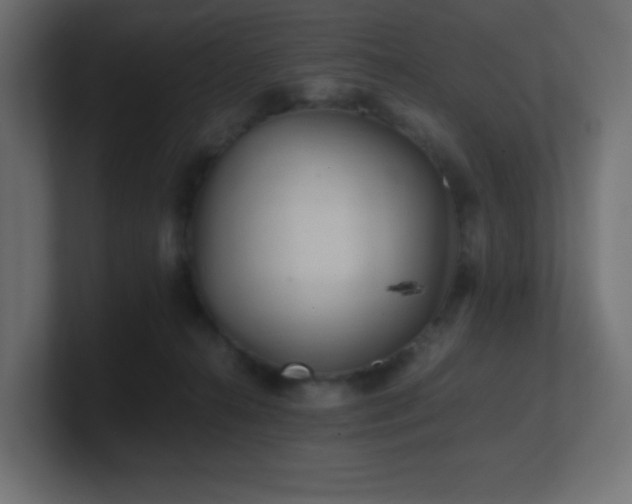 X0000100940272200806241434