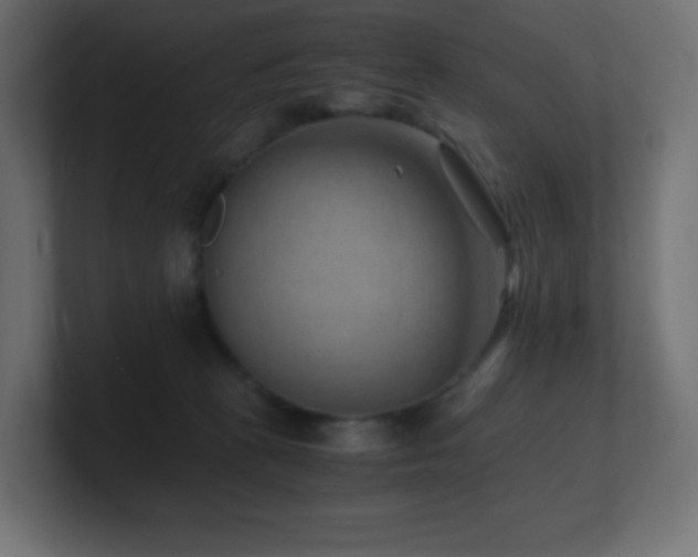 X0000100940273200806241434