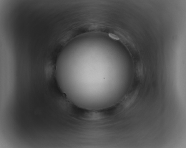 X0000100940276200806241434