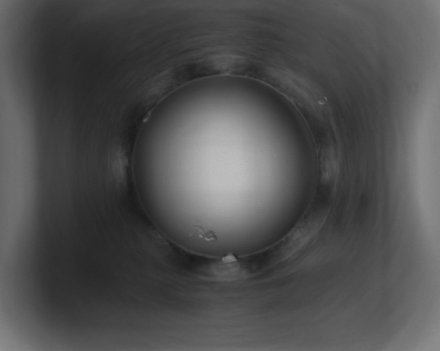 X0000100940279200806241434