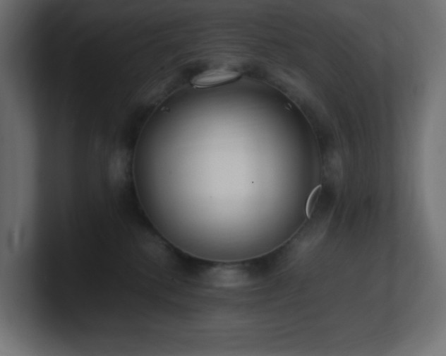 X0000100940280200806241434
