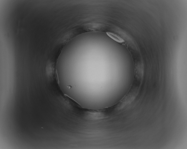 X0000100940284200806241434