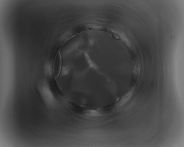 X0000100940285200806241434