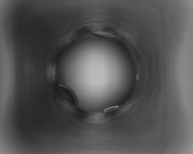 X0000100940288200806241434