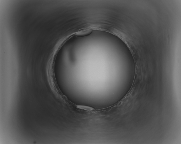X0000100940289200806241433