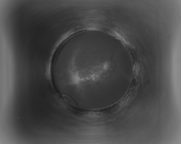 X0000100940292200806241433