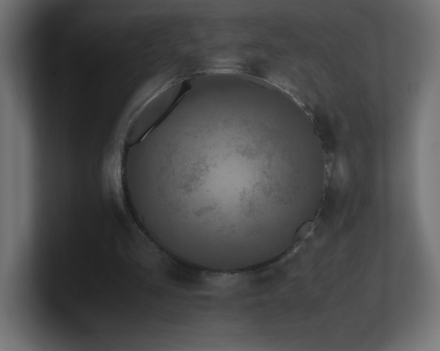X0000100940293200806241433