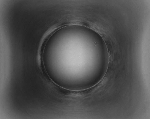 X0000100940294200806241433
