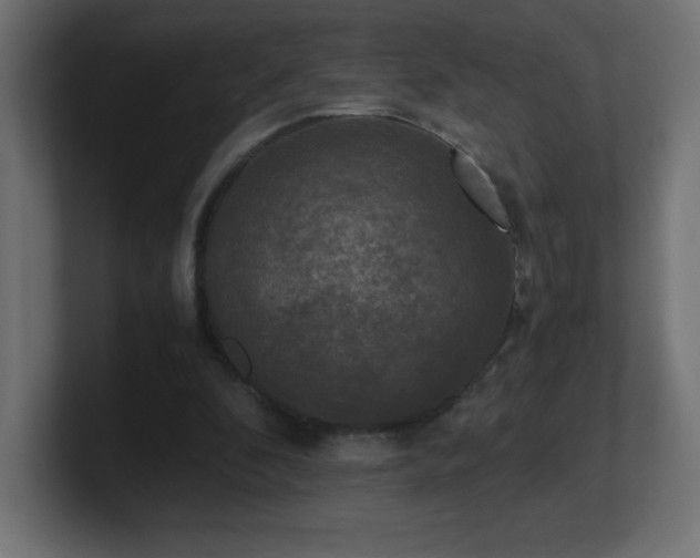 X0000100940296200806241433