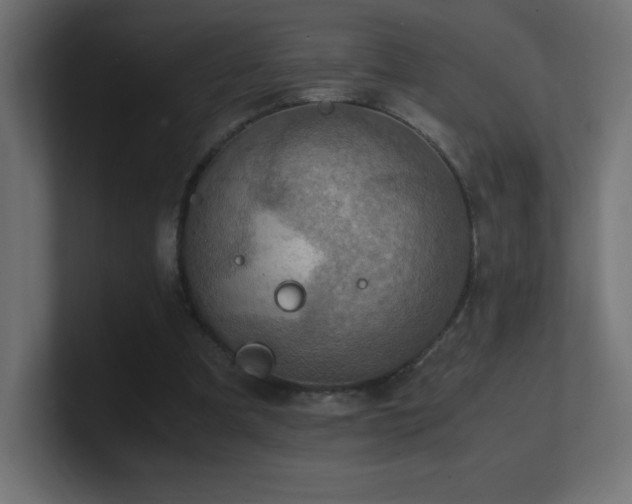 X0000100940297200806241433