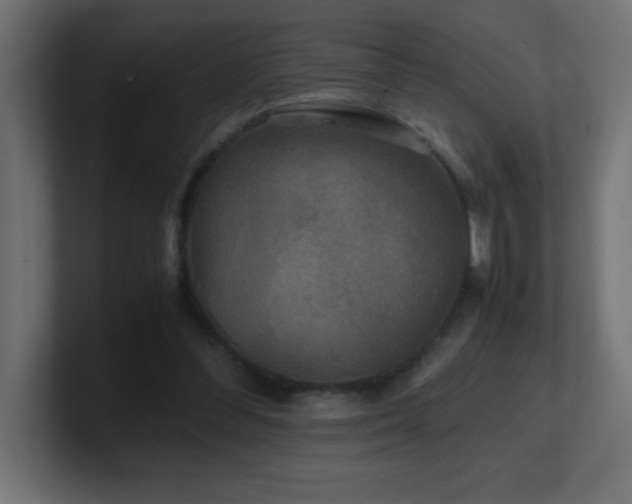 X0000100940300200806241433