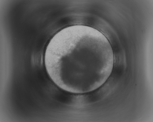 X0000100940301200806241433