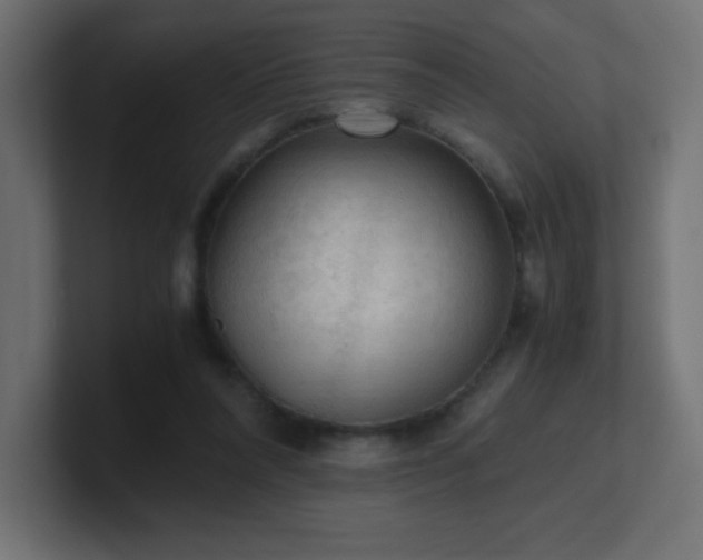 X0000100940304200806241433
