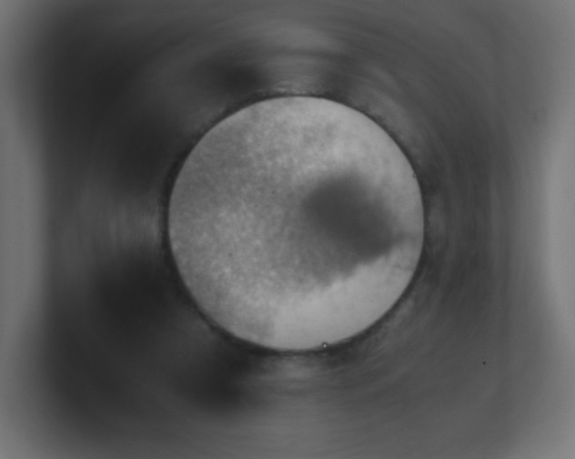 X0000100940305200806241433