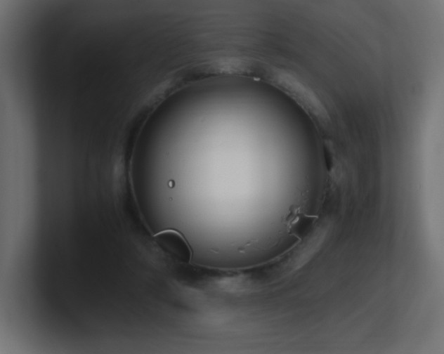 X0000100940306200806241433