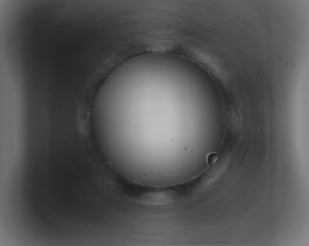 X0000100940307200806241433