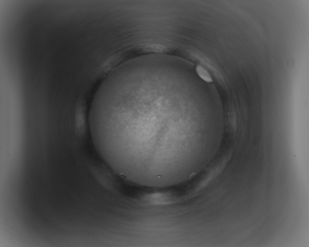 X0000100940312200806241433