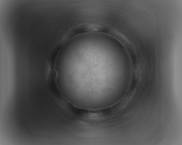 X0000100940314200806241433