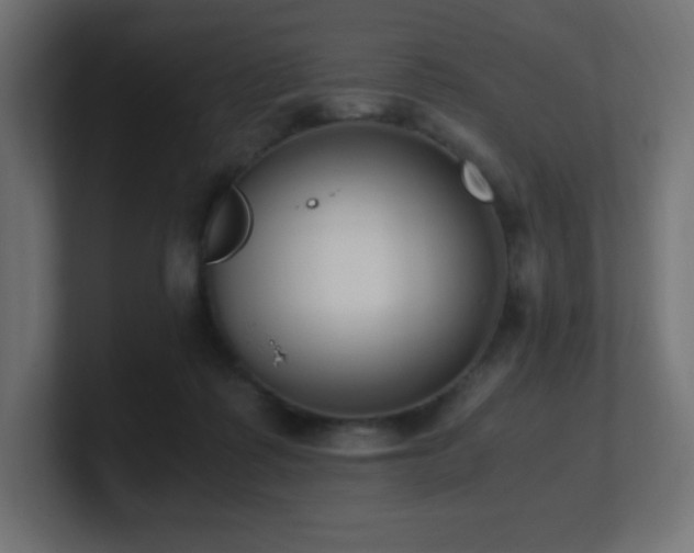 X0000100940315200806241433