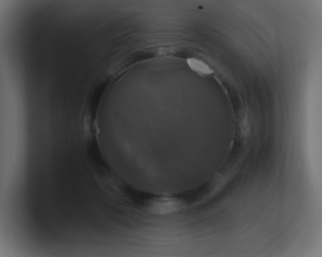 X0000100940316200806241433