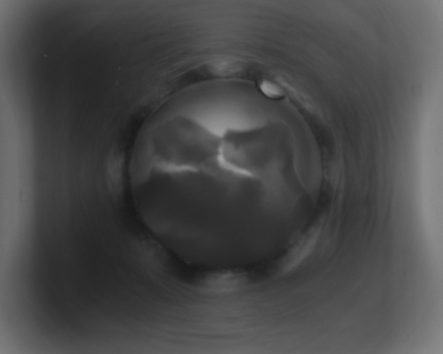 X0000100940319200806241433
