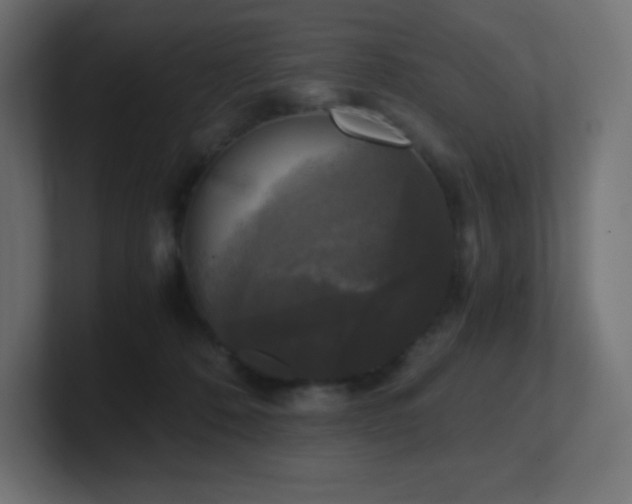 X0000100940320200806241433