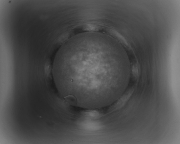 X0000100940322200806241433