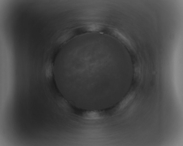 X0000100940325200806241433