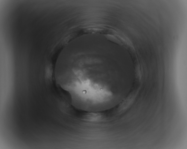 X0000100940328200806241433