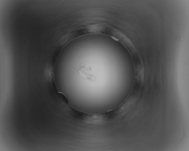 X0000100940329200806241433