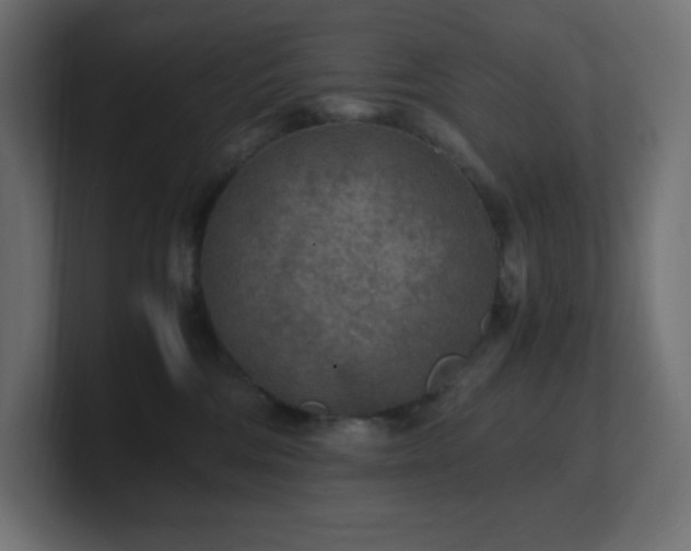 X0000100940330200806241433