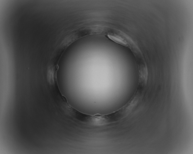 X0000100940333200806241433