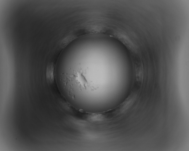 X0000100940334200806241433