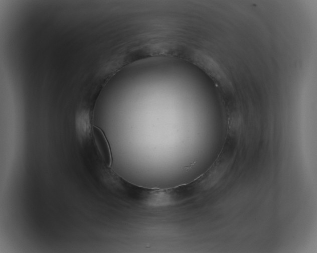 X0000100940335200806241433