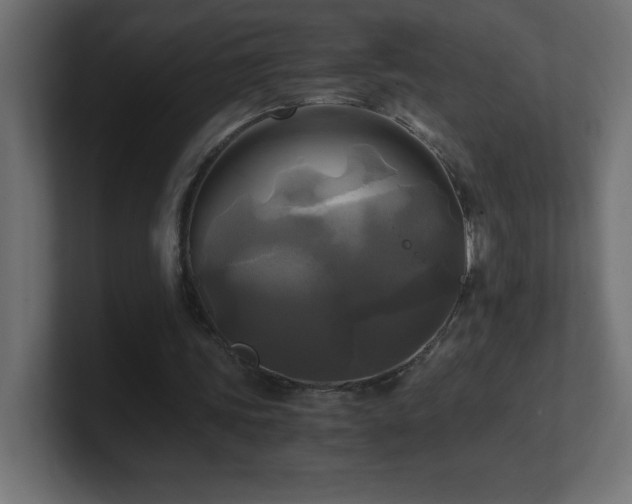 X0000100940339200806241432