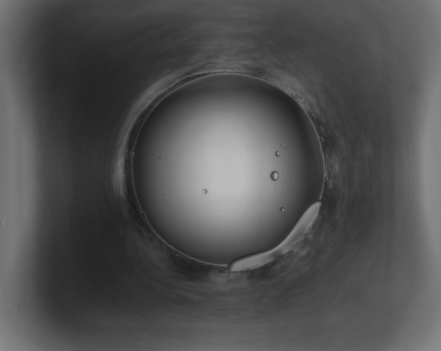 X0000100940340200806241432