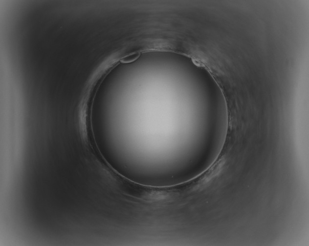 X0000100940341200806241432