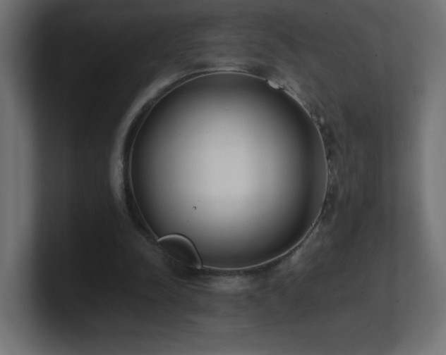 X0000100940342200806241432