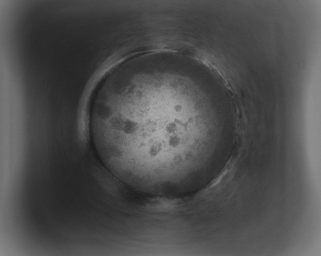 X0000100940343200806241432
