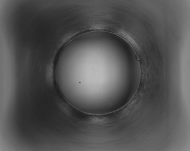 X0000100940346200806241432