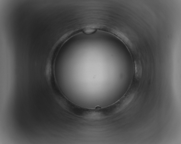 X0000100940348200806241432