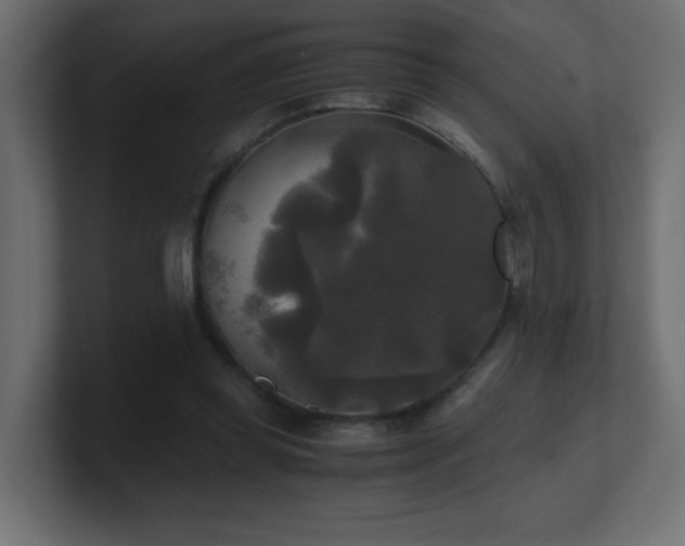 X0000100940349200806241432