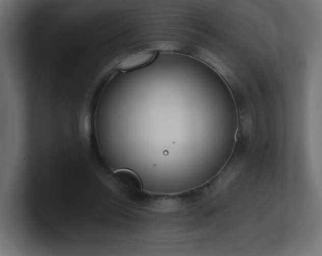 X0000100940350200806241432