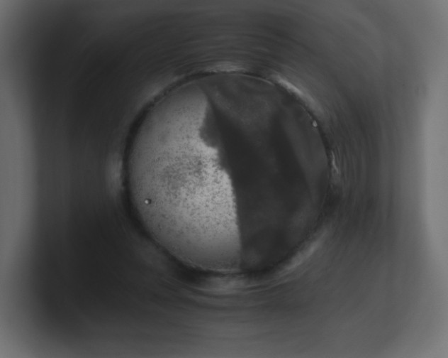 X0000100940351200806241432