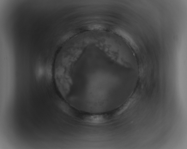 X0000100940353200806241432